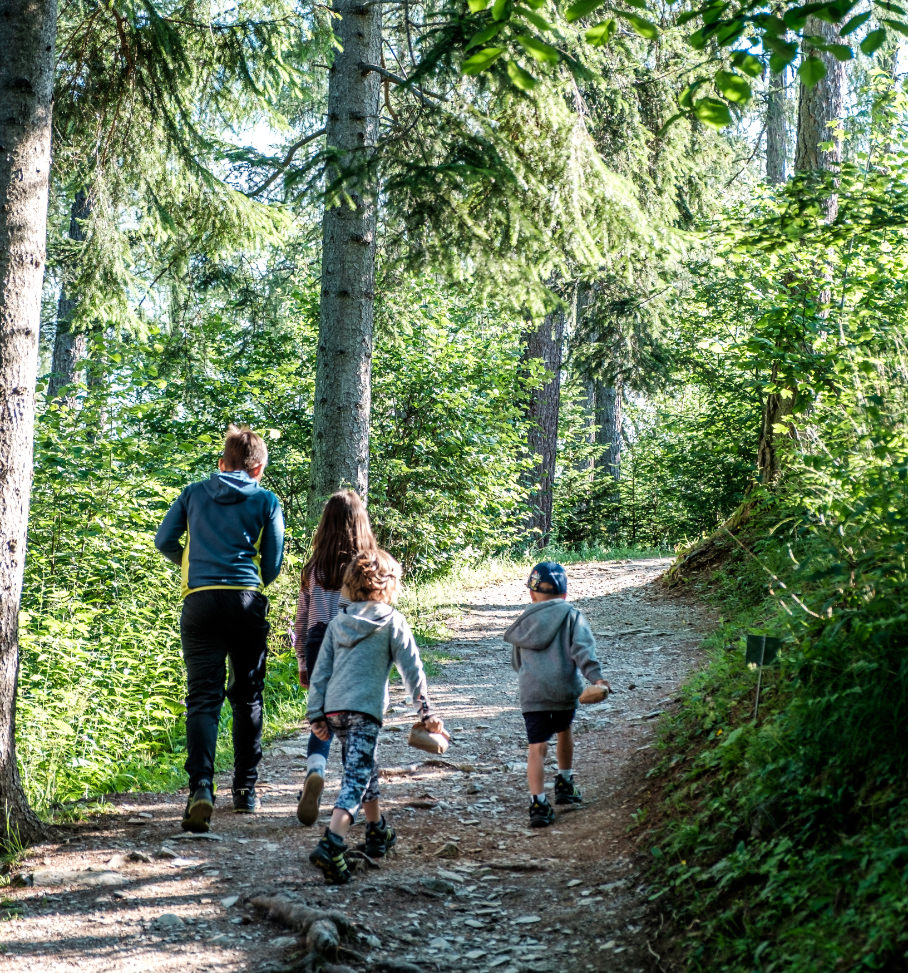 Kinder marschieren im Waldpark und halten Sackerln aus Papier mit Futter für die Tiere in den Händen. 4 Kinder sind von hinten zu sehen.