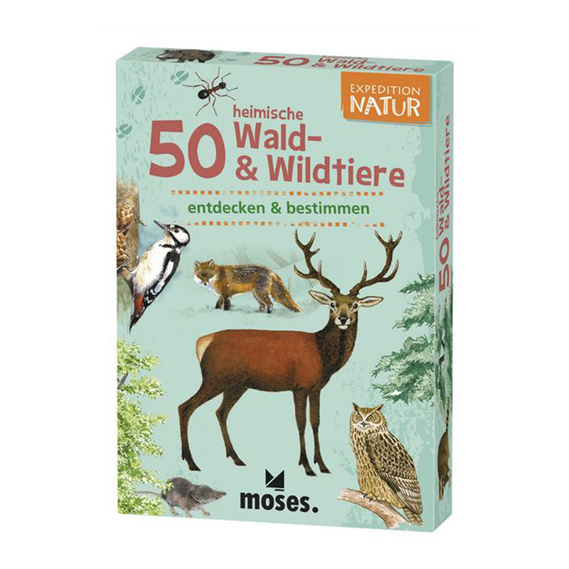 WaldundWildtiere