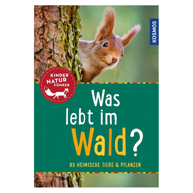 Was lebt im Wald