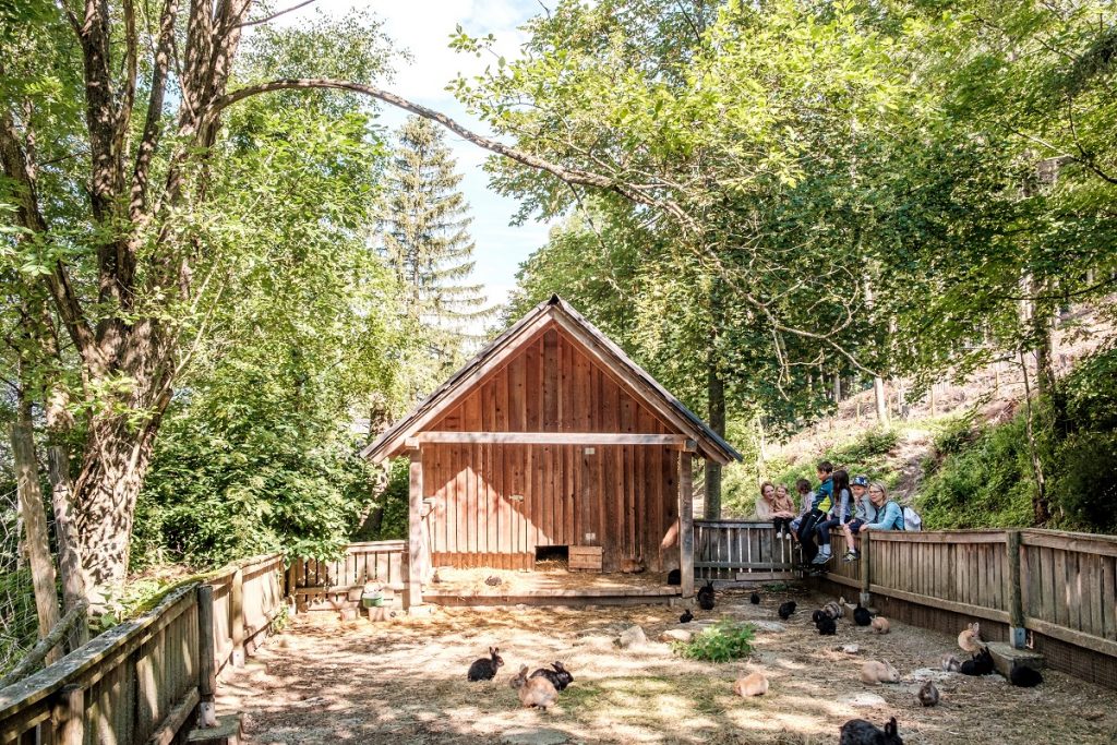 KREAWAWUZI - Designwettbewerb 1 Oekopark Hochreiter 421 min