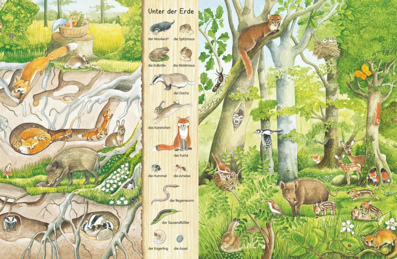 Mein erstes Wimmelbuch: Im Wald – Bild 3