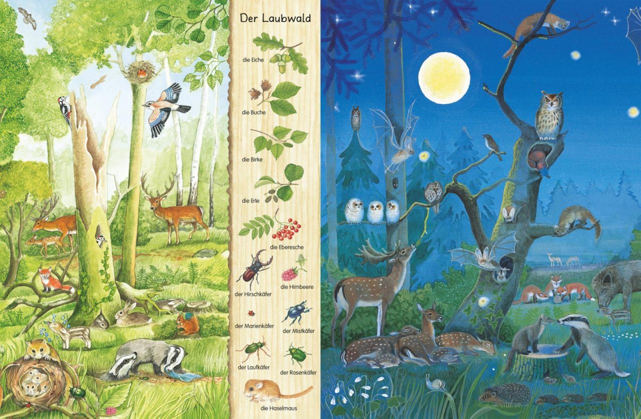 Mein erstes Wimmelbuch: Im Wald – Bild 4