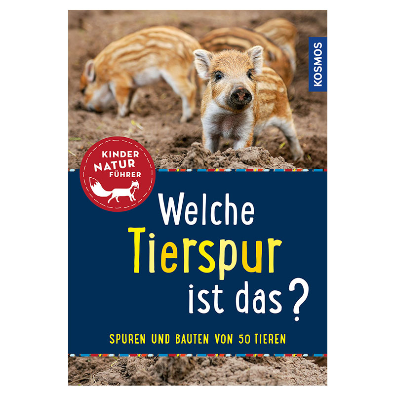 Welche Tierspur ist das