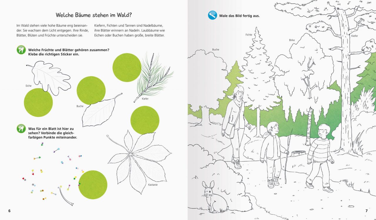 Wieso? Weshalb? Warum? aktiv-Heft: Wald – Bild 2