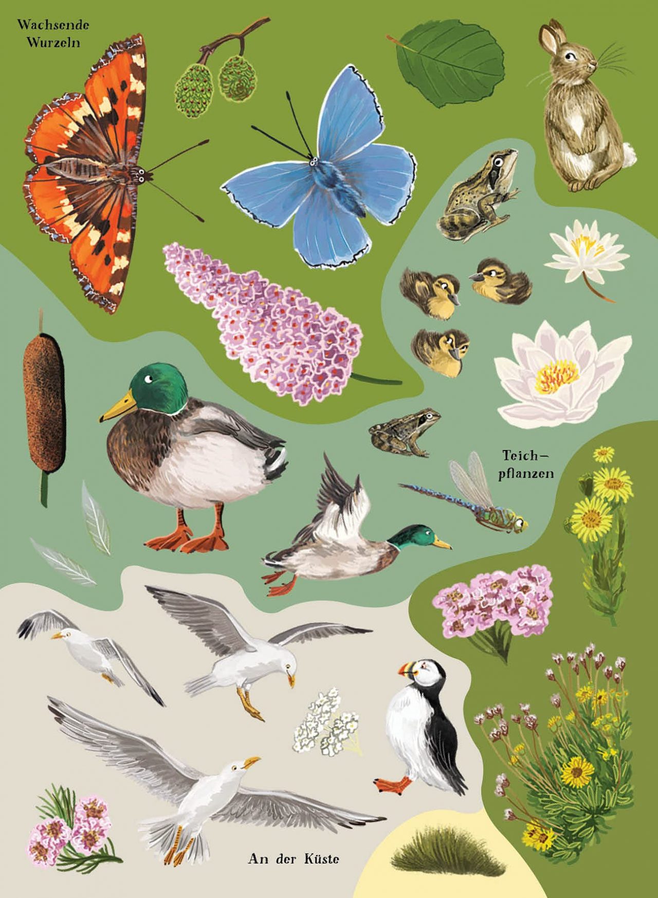 Mein Sach Sticker Buch Natur – Bild 3