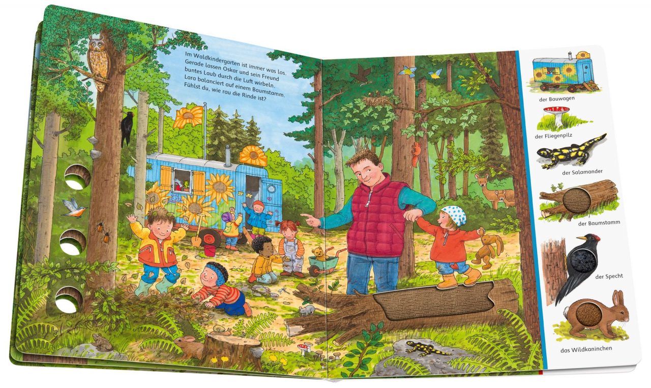 Sachen suchen, Sachen fühlen: Im Wald – Bild 4