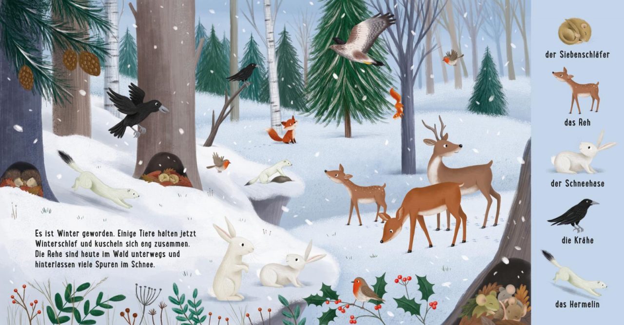 Mein erstes Natur-Wimmelbuch: Tiere im Wald – Bild 4