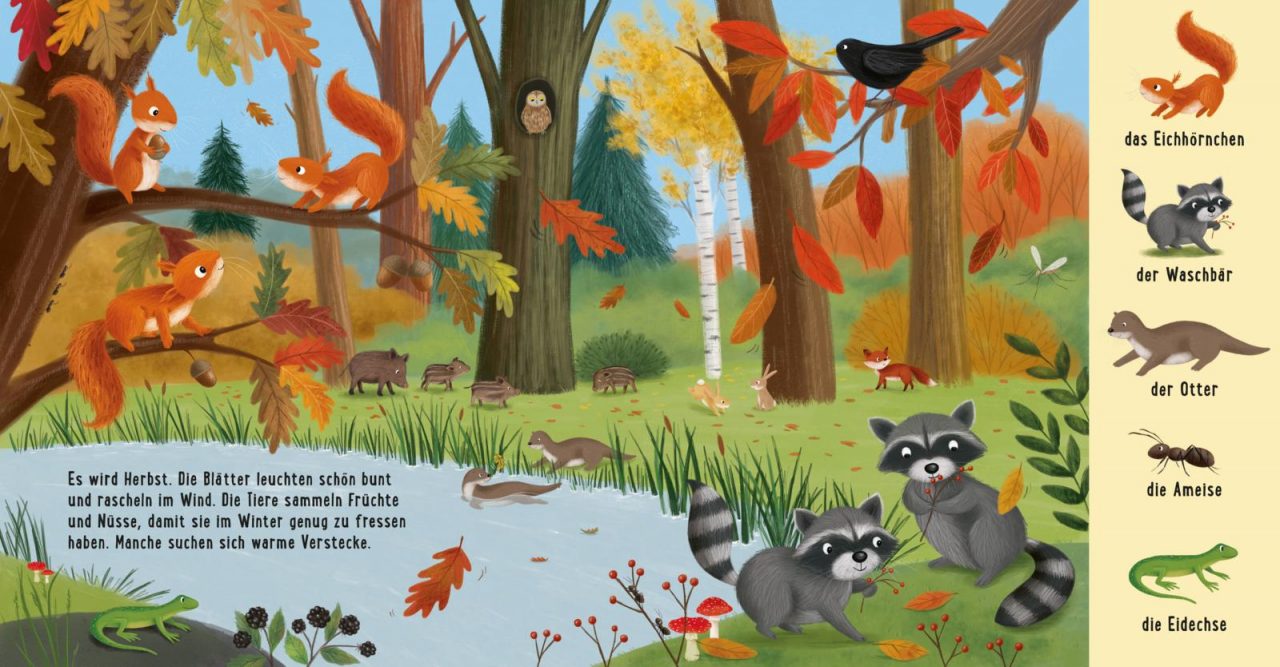 Mein erstes Natur-Wimmelbuch: Tiere im Wald – Bild 5