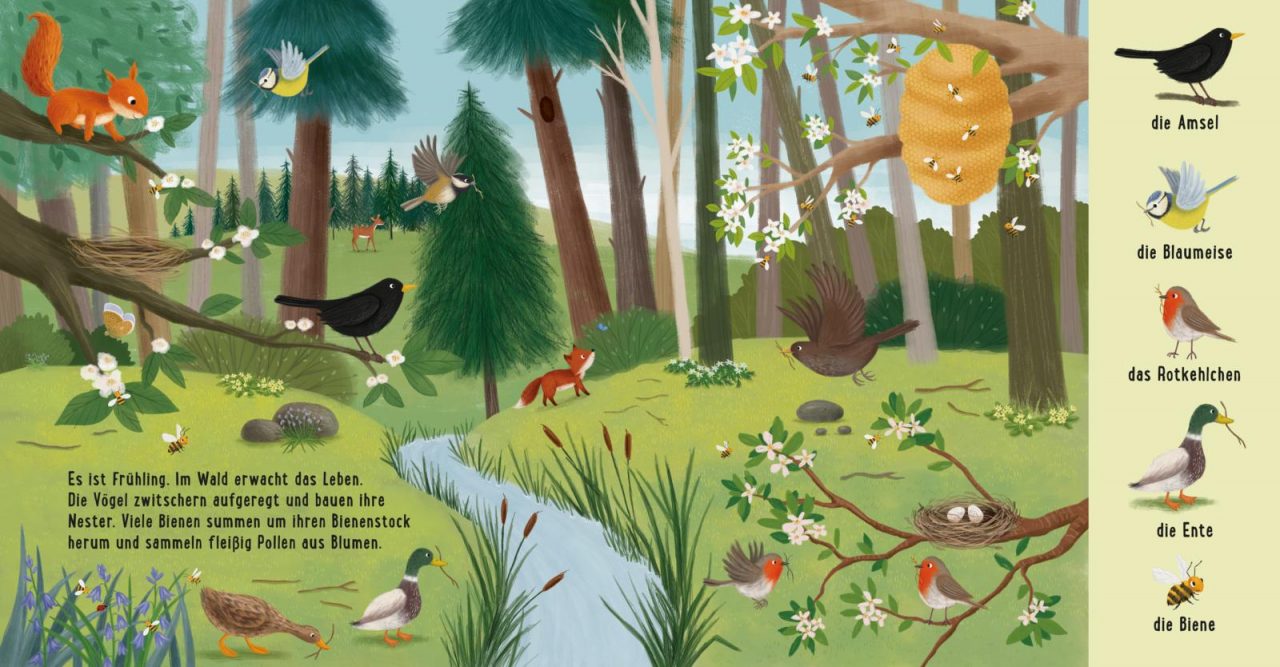 Mein erstes Natur-Wimmelbuch: Tiere im Wald – Bild 6
