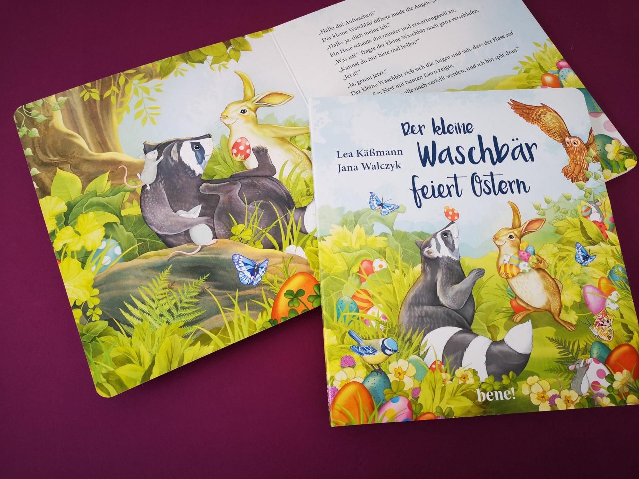 Der kleine Waschbär feiert Ostern – Bild 2