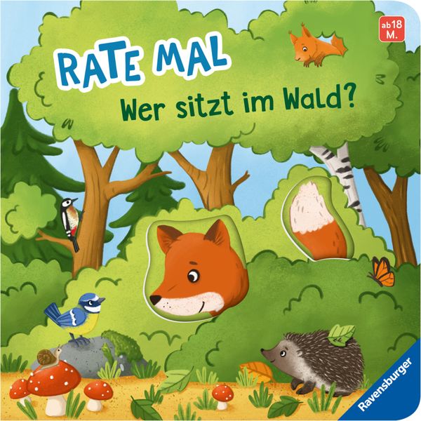 Rate mal wer sitzt im Wald