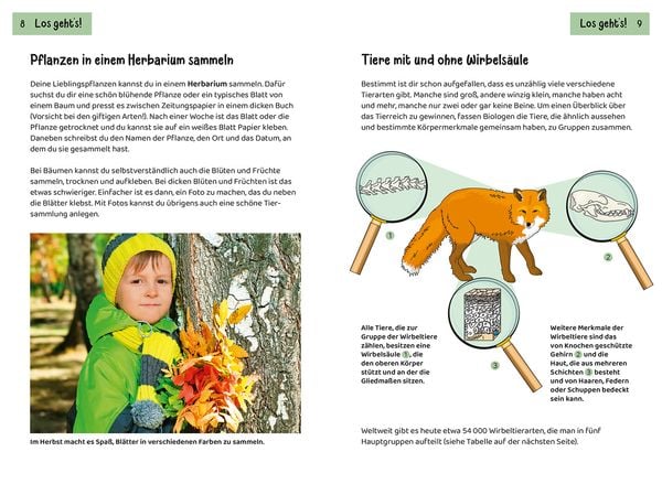 tier und pflanzenfuehrer kindernaturfuehrer taschenbuch anita van saan2