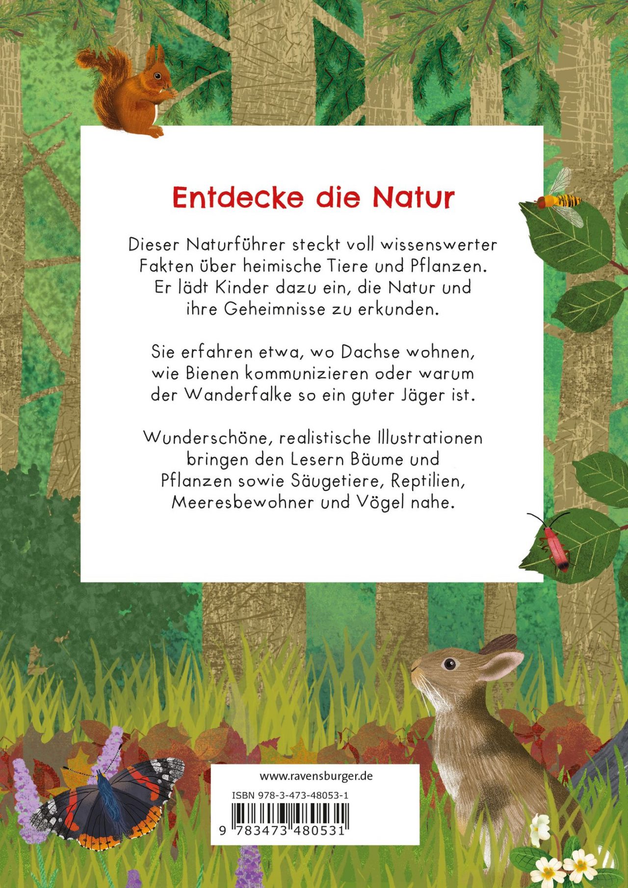 der grosse ravensburger naturfuehrer naturwissen fuer kinder ab 5 jahren taschenbuch catherine brereton 1