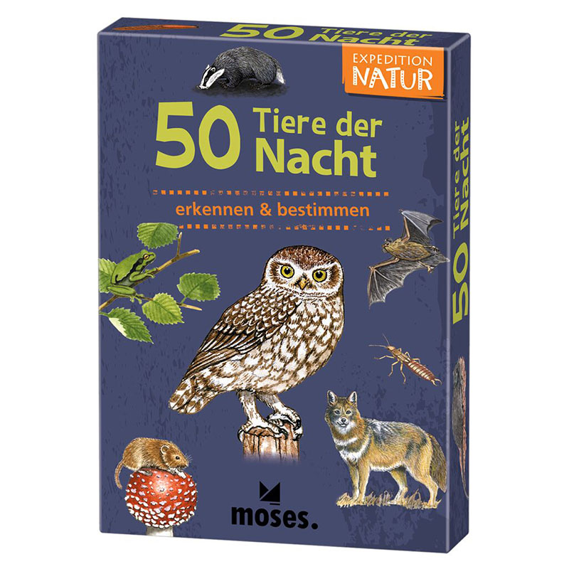 50 Tiere der Nacht