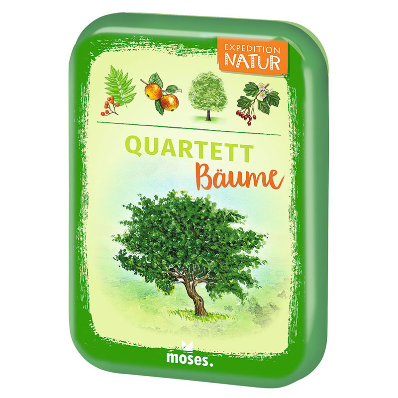 009873_quadrat Quartett Bäume Spiel Vorderansicht