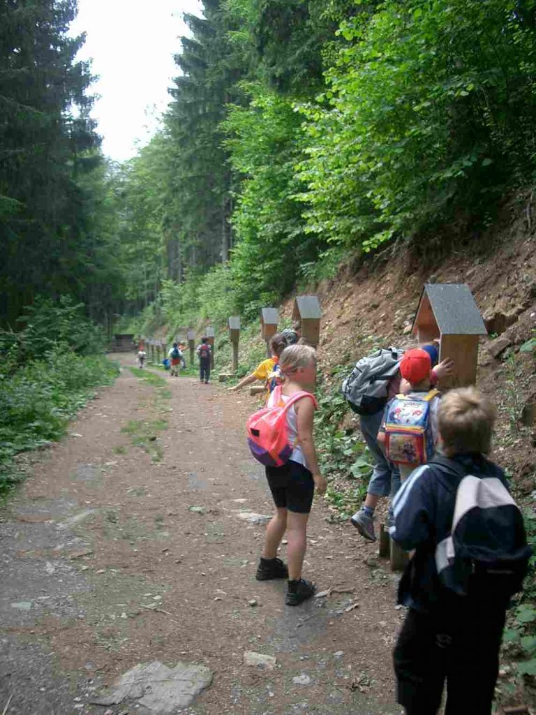 Kinder am Waldweg beim Volksschul Ausflug