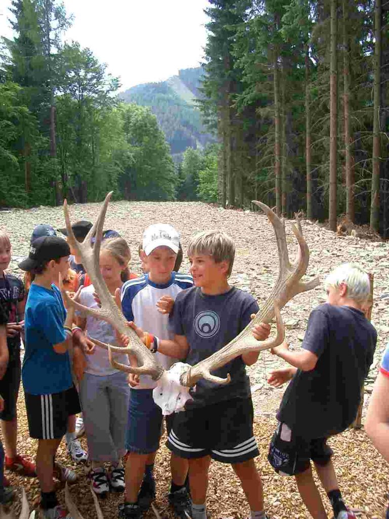 Kinder spielen mit Hirschgeweih im Wald