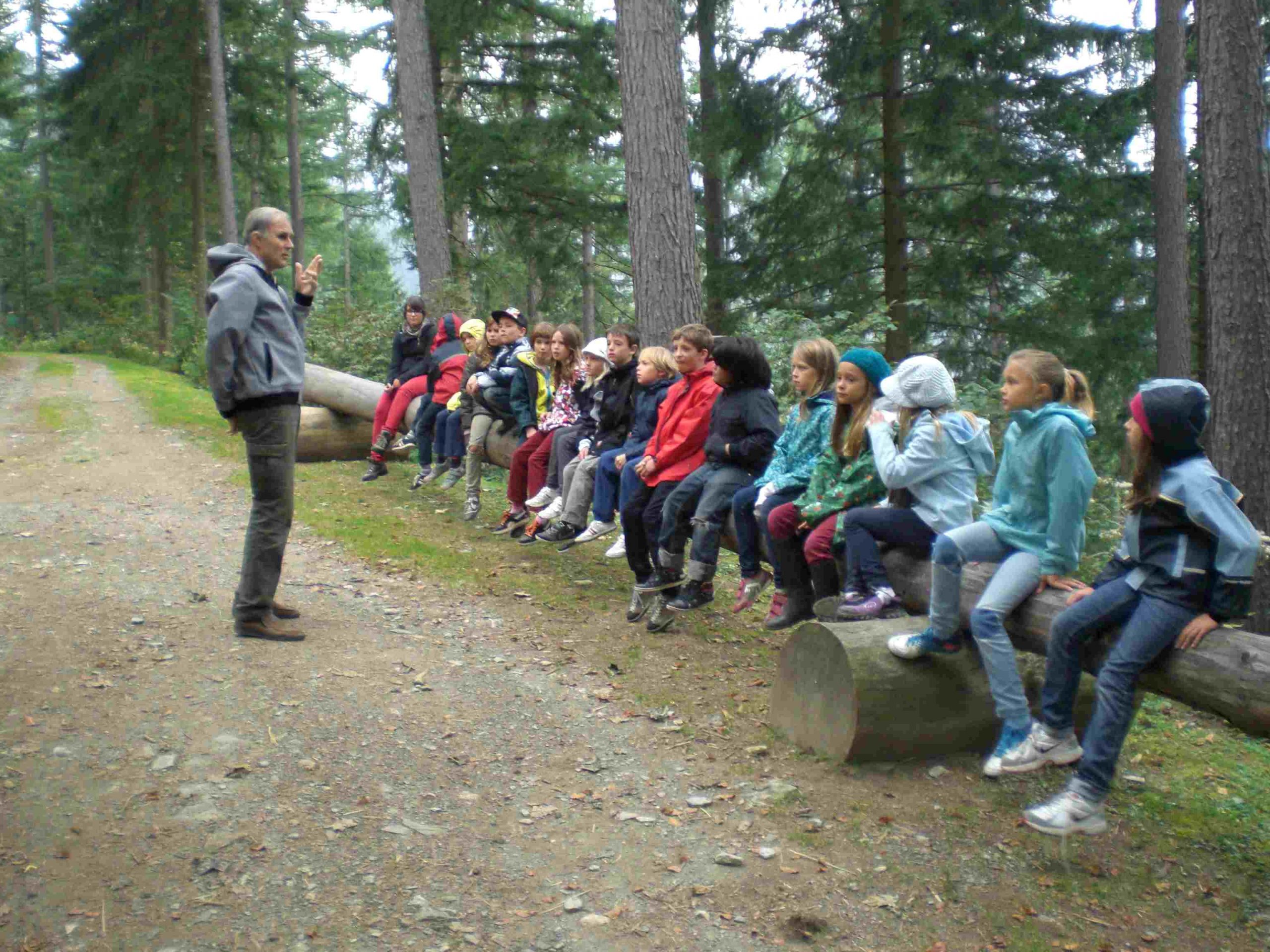 Viele Kinder hören den Erzählungen über Wald und Tiere zu und sitzen dabei auf einem Baumstamm