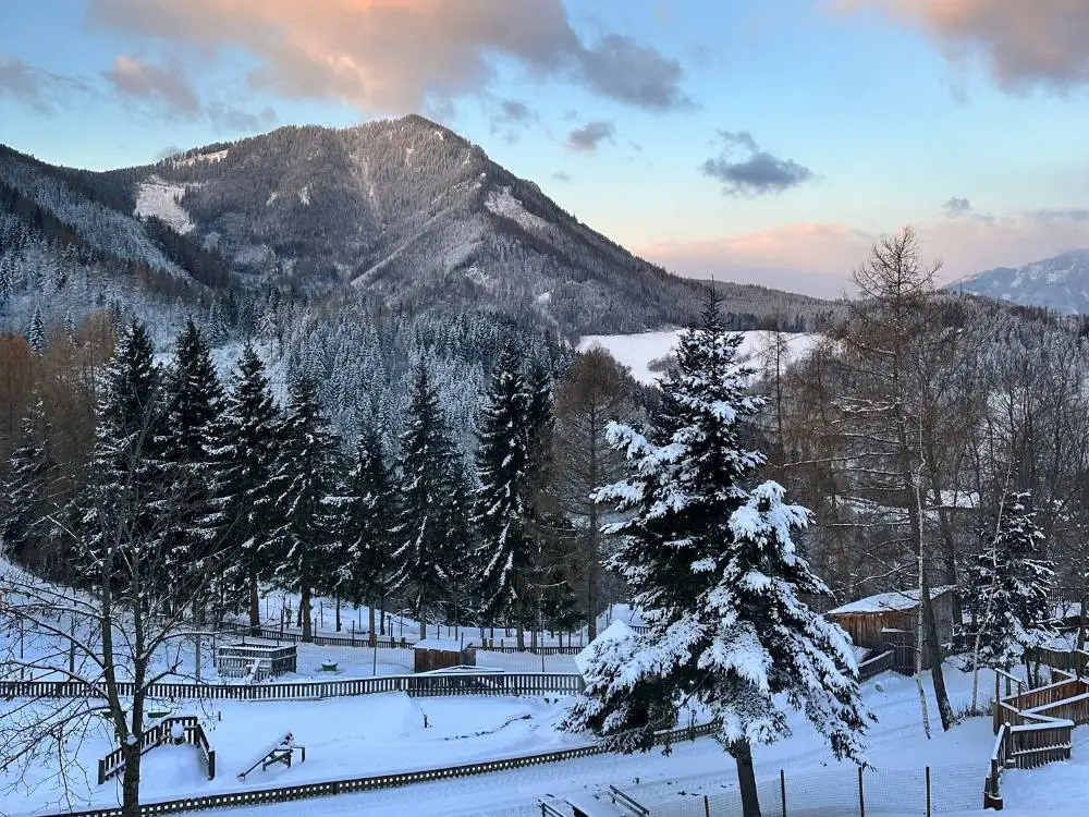 Winterliche Landschaft und Schneebedeckte Hügel rundum bei einer Weihnachtsfeier im Restaurant Baumhaus auf der Teichalm