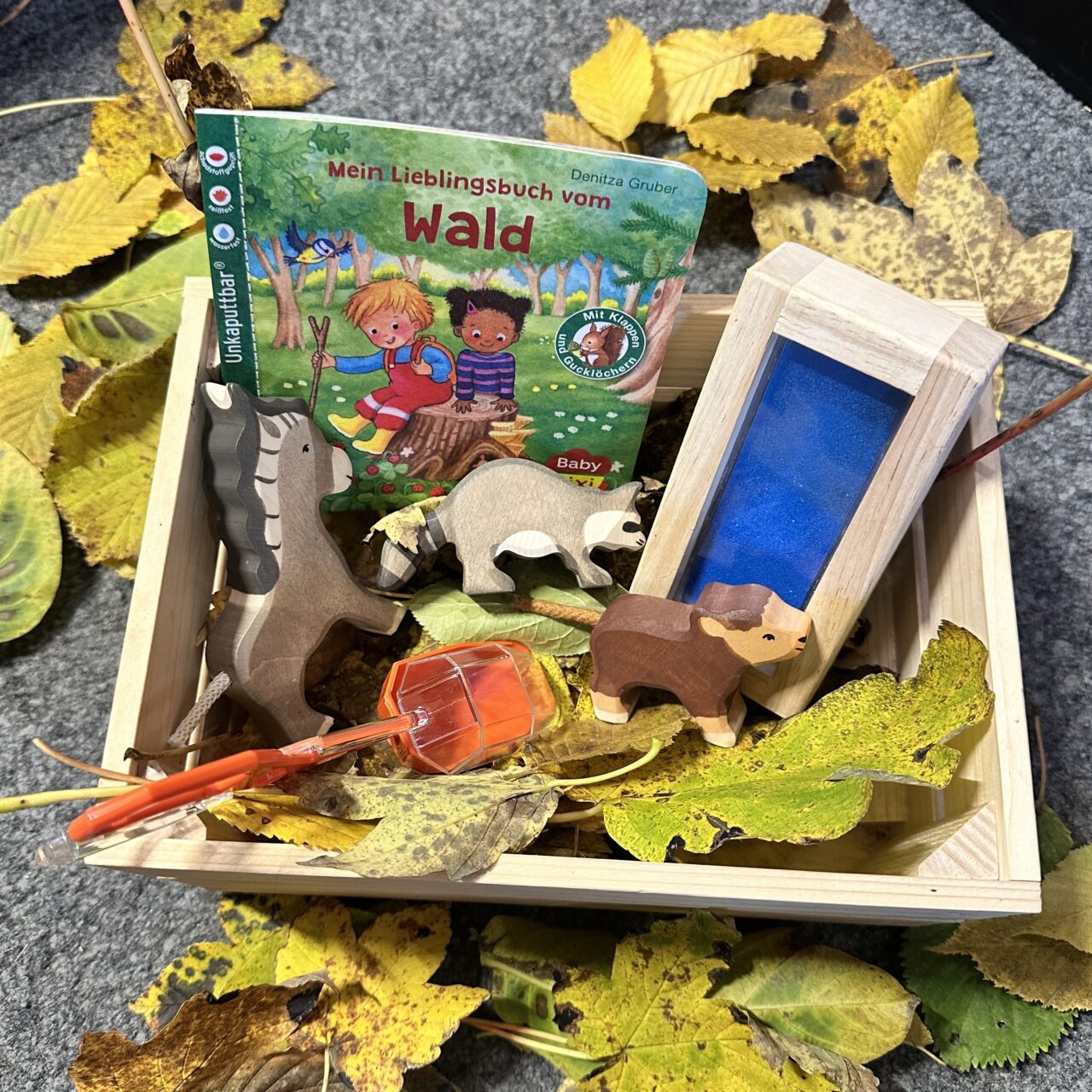 Waldpark-Schatz "was-ich-alles-im-Laub-verstecken-kann" – Bild 9