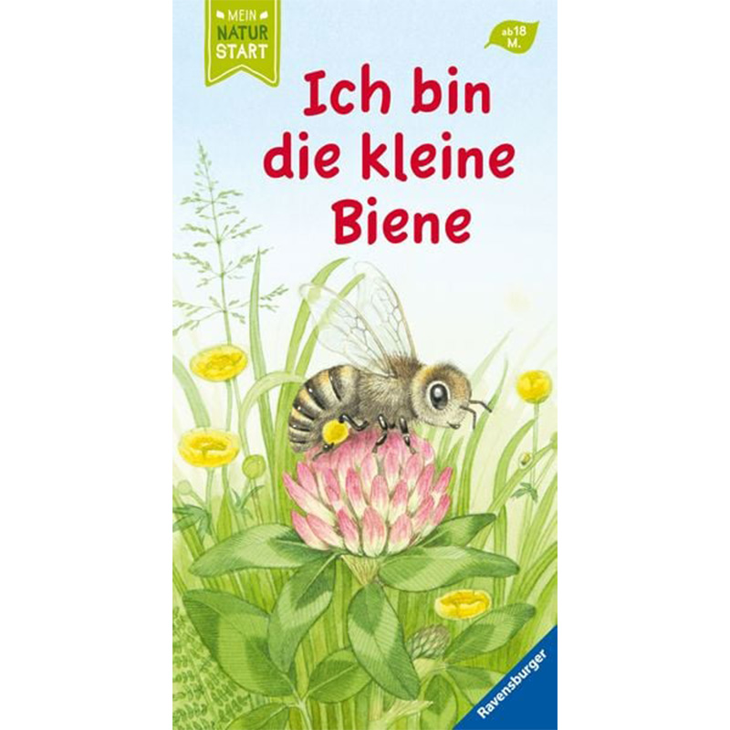 Ich bin die kleine Biene