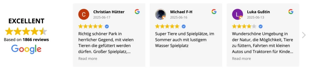 Bewertungen Google via Trustindex per Juni 2025, durchwegs 5 Sterne!